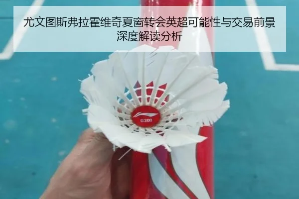 尤文图斯弗拉霍维奇夏窗转会英超可能性与交易前景深度解读分析